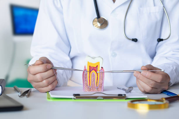 Best Emergency Broken Tooth Repair in Port Labelle, FL